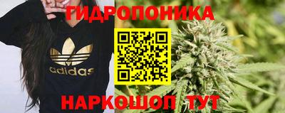 твердый Дубна
