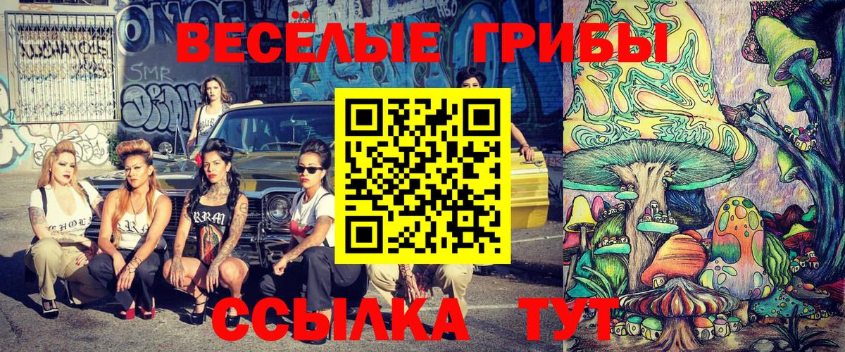 Псилоцибиновые грибы Psilocybine cubensis Луховицы