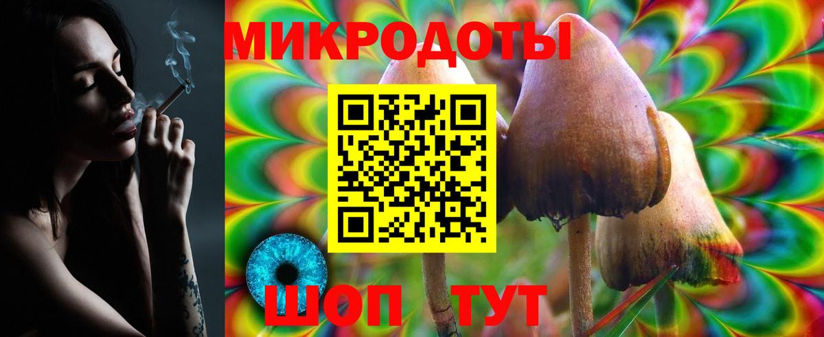 Псилоцибиновые грибы Cubensis  Вход с VPN  Псилоцибиновые грибы Psilocybine cubensis  Луховицы 
